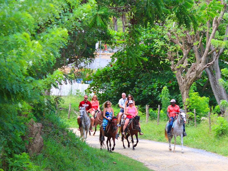 Horse Back Riding