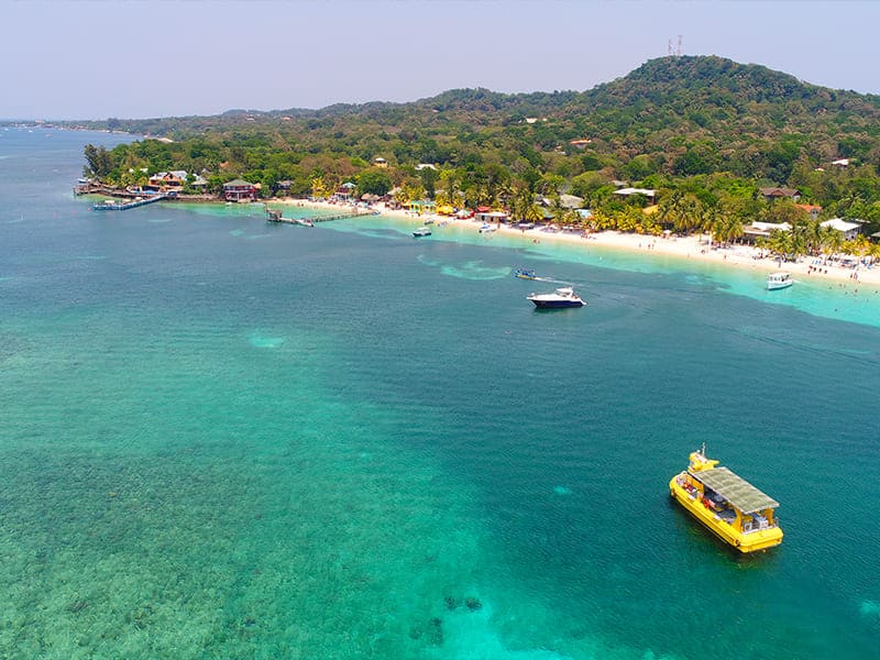 Glass Bottom Boat Tour